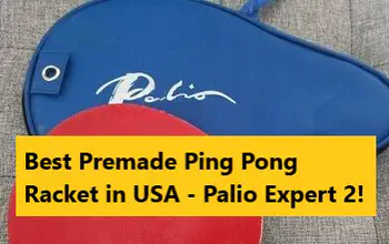 Is Palio Expert 2 best Premade Ping Pong Racket?
