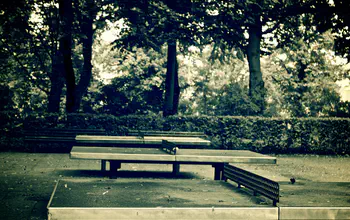 Difference between Table Tennis and Lawn Tennis