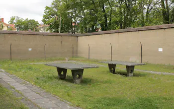 Table Tennis Exercises at Home During Coronavirus Outbreak